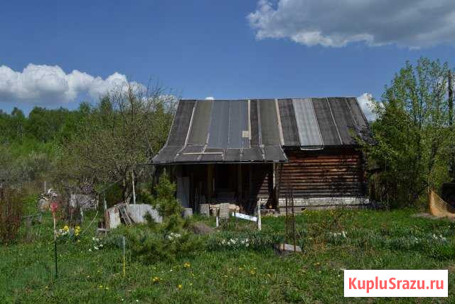 Дача 54 м² на участке 15 сот. на продажу в Буревестнике Буревестник - изображение 2
