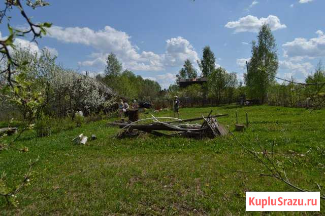 Дача 54 м² на участке 15 сот. на продажу в Буревестнике Буревестник - изображение 3