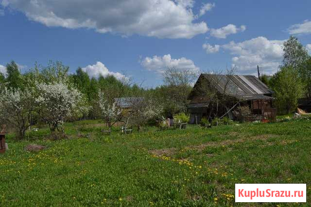 Дача 54 м² на участке 15 сот. на продажу в Буревестнике Буревестник - изображение 1