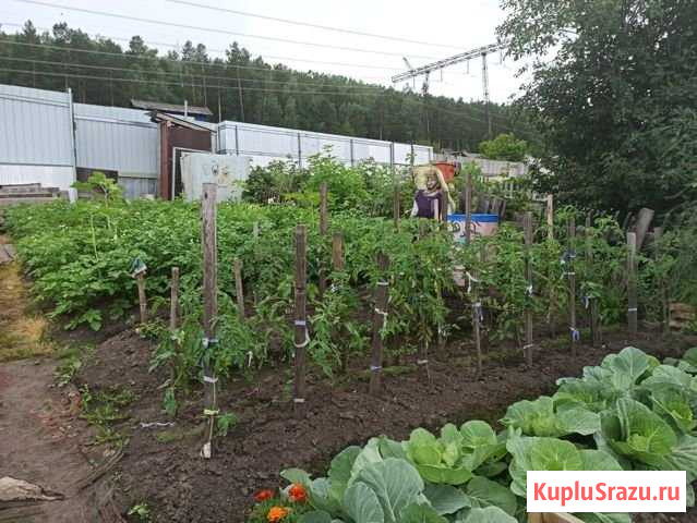 Дача 20 м² на участке 6 сот. на продажу в Дивногорске Дивногорск - изображение 2