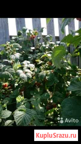 Участок ИЖС 13 сот. на продажу в Ангарске Ангарск - изображение 1