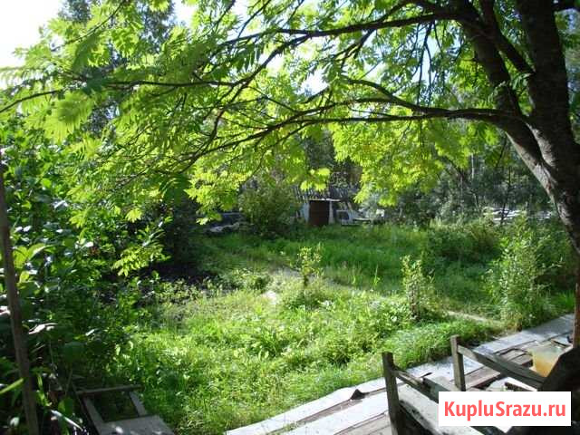 Дача 20 м² на участке 9 сот. на продажу в Северодвинске Северодвинск - изображение 2