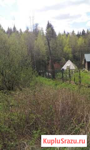 Участок ИЖС 25 сот. на продажу в Первомайском Ленинградской области Первомайское - изображение 3