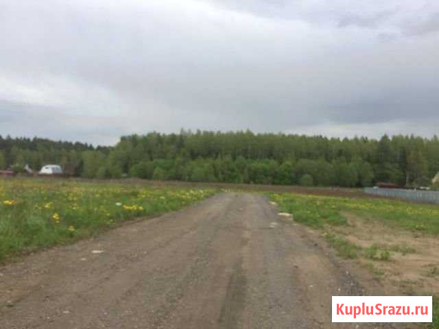 Участок СНТ, ДНП 10 сот. на продажу в Менделеево Московской области Менделеево - изображение 1