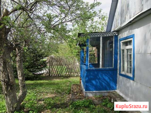 Дача 30 м² на участке 4.5 сот. на продажу в Новосибирске Новосибирск - изображение 1