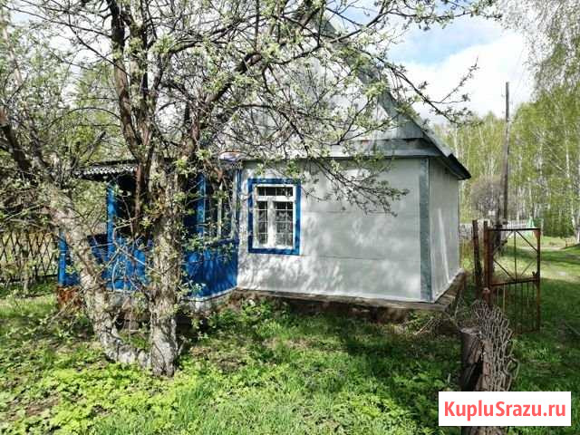 Дача 30 м² на участке 4.5 сот. на продажу в Новосибирске Новосибирск - изображение 2