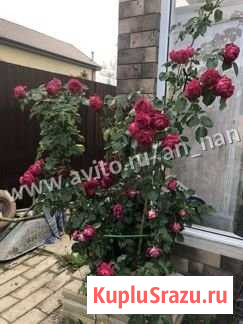 Дом 122 м² на участке 5 сот. на продажу в Красково Красково - изображение 1