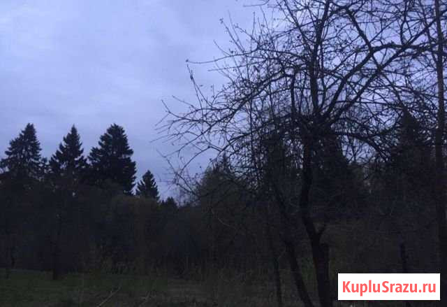 Участок СНТ, ДНП 14 сот. на продажу в Новопетровском Новопетровское - изображение 3