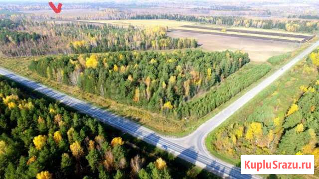 Участок СНТ, ДНП 2640 сот. на продажу в Тугулыме Тугулым - изображение 1