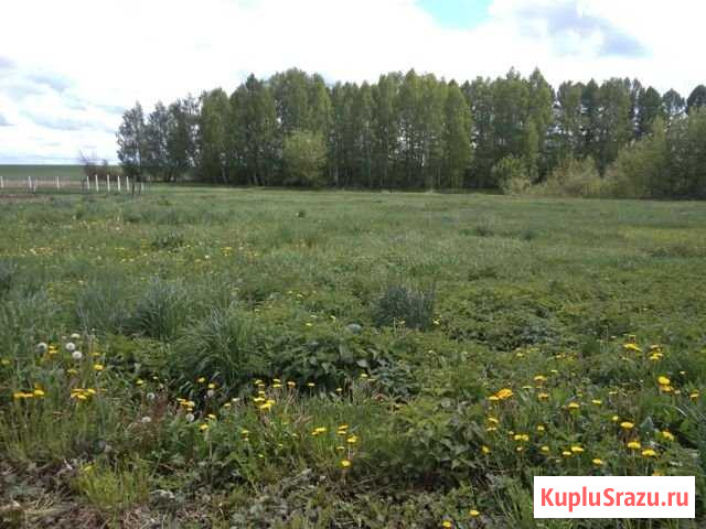 Участок ИЖС 40 сот. на продажу в Орле Орёл - изображение 2