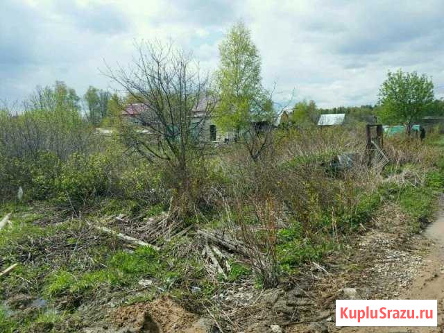 Участок СНТ, ДНП 6 сот. на продажу в Ногинске Ногинск - изображение 2