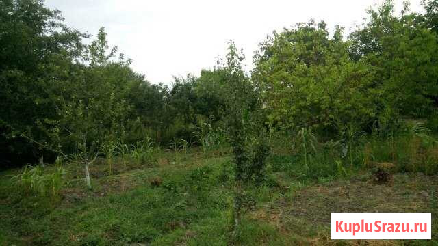 Участок ИЖС 6 сот. на продажу в Кизляре Республики Дагестан Кизляр - изображение 1