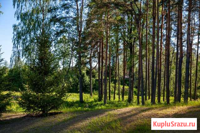 Участок СНТ, ДНП 14 сот. на продажу в Санкт-Петербурге Санкт-Петербург - изображение 1