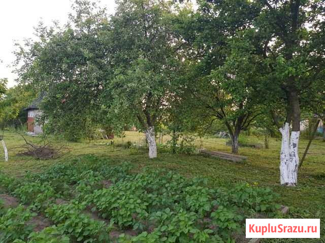 Участок СНТ, ДНП 7 сот. на продажу в Приморске Калининградской области Приморск - изображение 3
