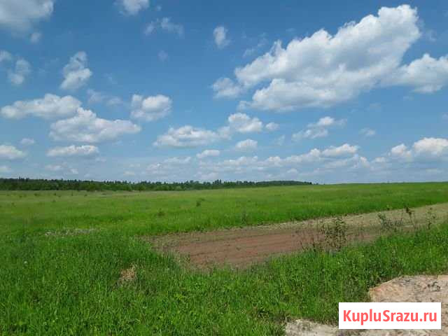 Участок СНТ, ДНП 193 сот. на продажу в Красноармейске Московской области Красноармейск - изображение 2