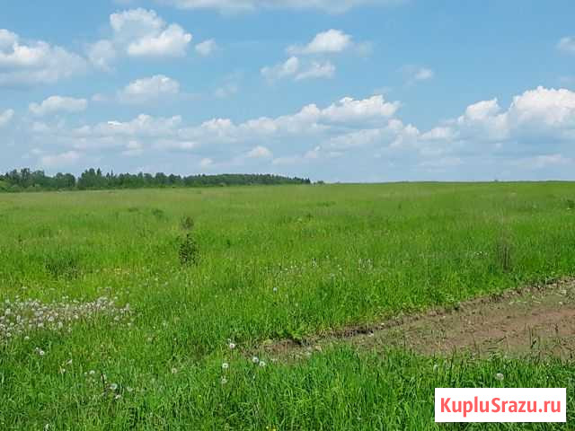 Участок СНТ, ДНП 193 сот. на продажу в Красноармейске Московской области Красноармейск - изображение 3