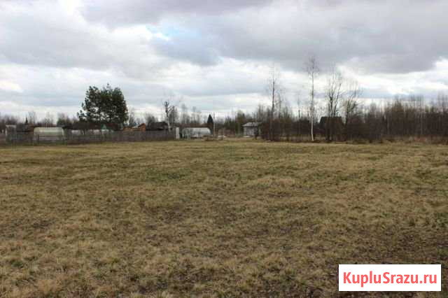 Участок СНТ, ДНП 20 сот. на продажу в Ярославле Ярославль - изображение 3