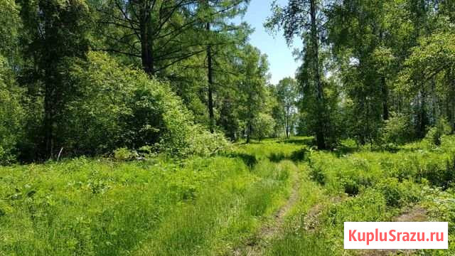 Участок СНТ, ДНП 10 сот. на продажу в Иркутске Иркутск - изображение 1