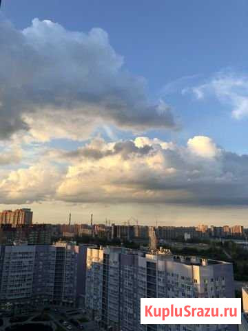 1-комнатная квартира, 45 м², 19/21 эт. в аренду посуточно в Санкт-Петербурге Санкт-Петербург - изображение 1
