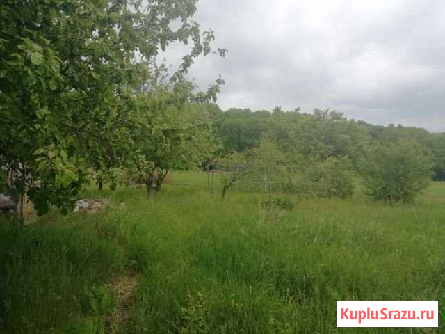Дача 20 м² на участке 35 сот. на продажу в Разумном Разумное - изображение 3