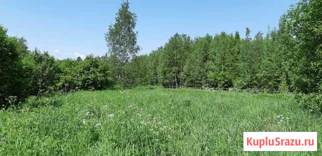 Участок ИЖС 20 сот. на продажу в Александрове Александров - изображение 1