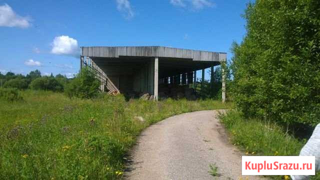 Производственное помещение, 5300 кв.м. Галич - изображение 2