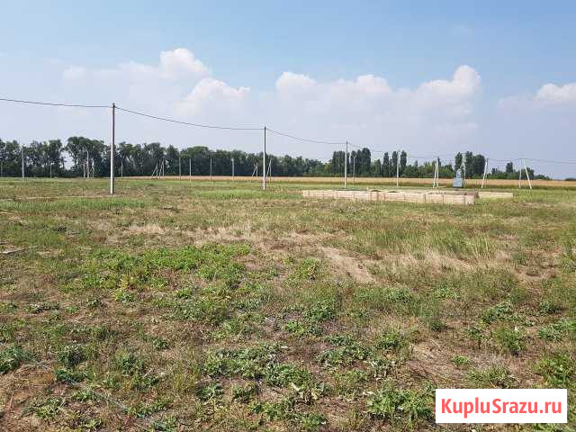 Участок СНТ, ДНП 6 сот. на продажу в Краснодаре Краснодар - изображение 1