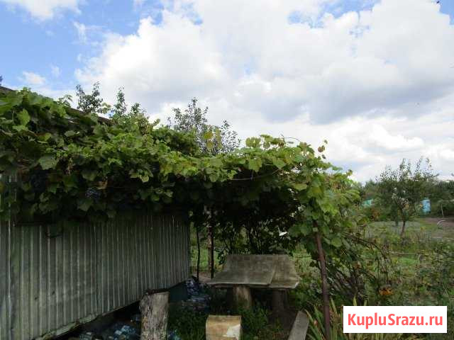 Участок СНТ, ДНП 8 сот. на продажу в Старом Осколе Старый Оскол - изображение 2
