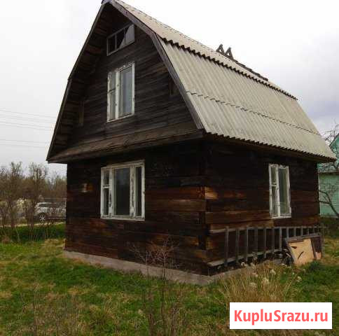 Дача 36 м² на участке 6.3 сот. на продажу в Приладожском Приладожский - изображение 3