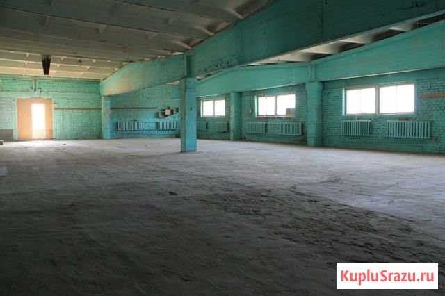 Помещение свободного назначения, 867.5 кв.м. Петрозаводск - изображение 3
