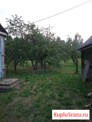 Дом 83 м² на участке 50 сот. на продажу в Усвятах Усвяты - изображение 3