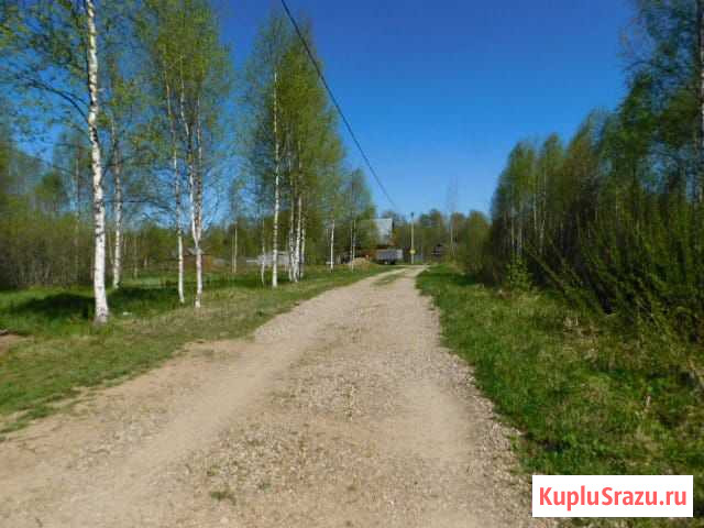 Участок СНТ, ДНП 15 сот. на продажу в Балакирево Балакирево - изображение 2