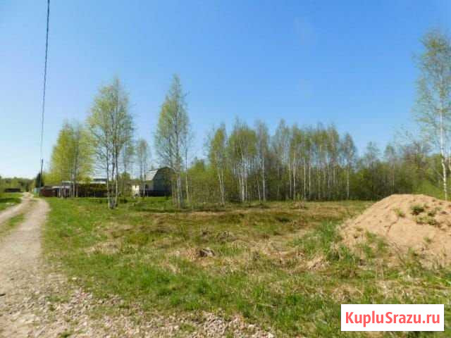 Участок СНТ, ДНП 15 сот. на продажу в Балакирево Балакирево - изображение 3
