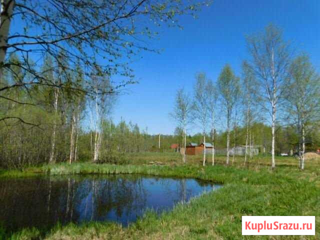 Участок СНТ, ДНП 15 сот. на продажу в Балакирево Балакирево - изображение 1