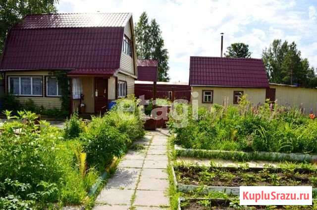 Дача 65 м² на участке 5 сот. на продажу в Сургуте Ханты-Мансийского АО Сургут - изображение 1