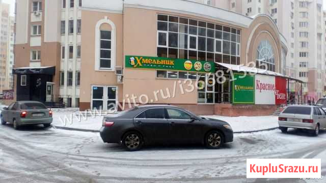 Сдам офисное помещение, 300 кв.м. Липецк - изображение 1