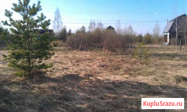 Участок СНТ, ДНП 10 сот. на продажу в Авсюнино Авсюнино - изображение 1