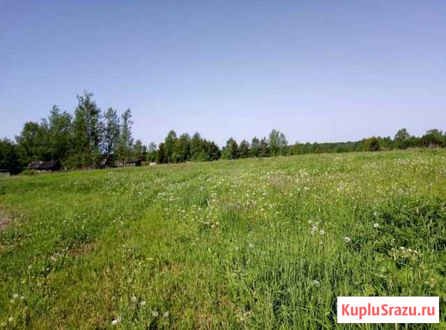 Участок СНТ, ДНП 11000 сот. на продажу в Шаховской Шаховская - изображение 1