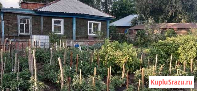 Дом 77 м² на участке 10 сот. на продажу в Рубцовске Рубцовск - изображение 1