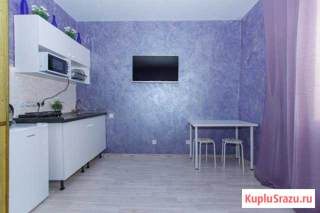 Квартира-студия, 24 м², 7/17 эт. в аренду посуточно в Новосибирске Новосибирск - изображение 3