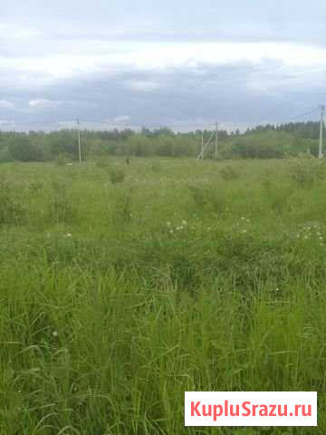 Участок ИЖС 10 сот. на продажу в Кирове Киров - изображение 2
