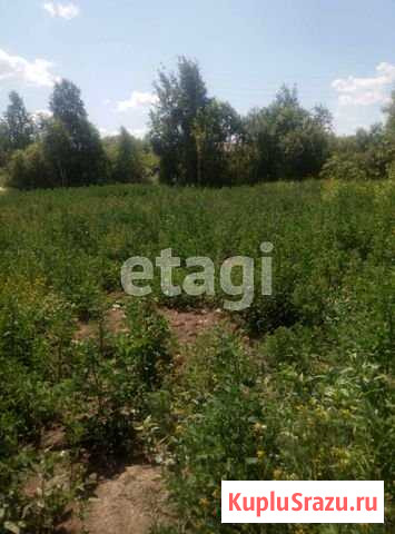 Участок ИЖС 8 сот. на продажу в Тюмени Тюмень - изображение 3