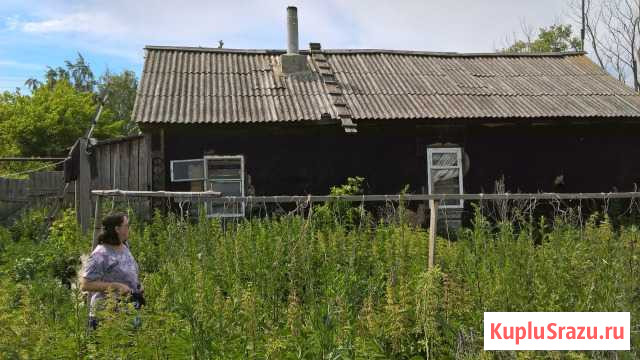 Дом 40 м² на участке 16 сот. на продажу в Горелом Горелое - изображение 3