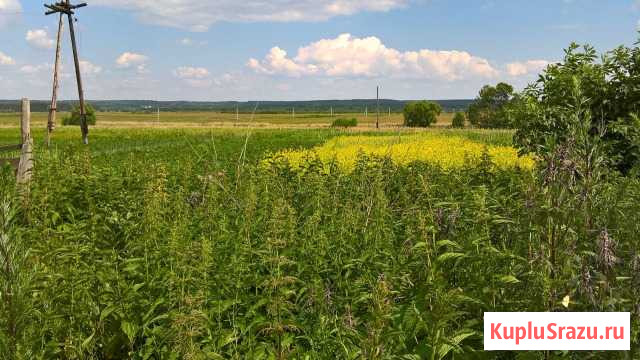 Дом 40 м² на участке 16 сот. на продажу в Горелом Горелое - изображение 2