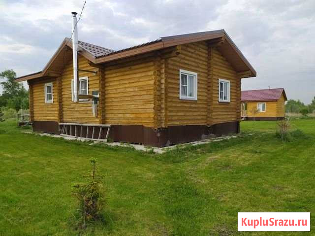 Дача 60 м² на участке 20 сот. на продажу в Новосибирске Новосибирск - изображение 1