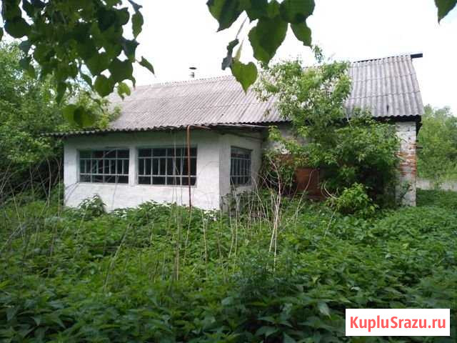 Дом 40 м² на участке 16 сот. на продажу в Ряжске Ряжск - изображение 1
