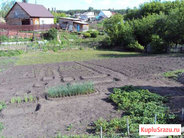 Дом 26.6 м² на участке 10 сот. на продажу в Павловске Алтайского края Павловск - изображение 1