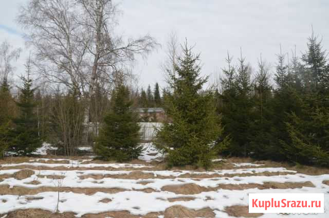 Участок ИЖС 17 сот. на продажу в Кубинке Кубинка - изображение 2