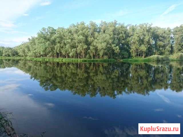 Участок ИЖС 15 сот. на продажу в Волоколамске Волоколамск - изображение 1