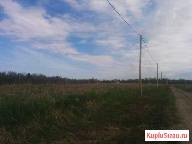 Участок СНТ, ДНП 8 сот. на продажу в Зеленогорске Ленинградской области Зеленогорск - изображение 3